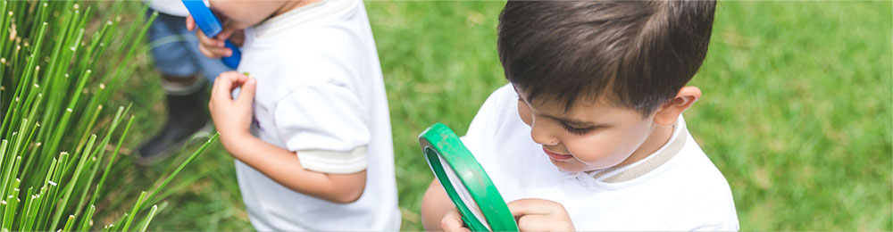 programas complementarios