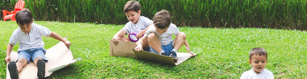 programas complementarios